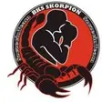 PGE BKS SKORPION SZCZECIN