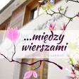 Kawiarnia Między Wierszami