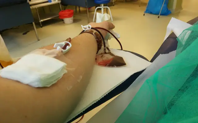 Pobieranie krwi w Szczecinie