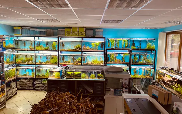 Sklepy zoologiczne w Szczecinie