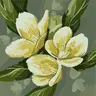 Dominika