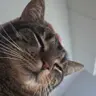 Ewa