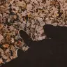 sugarxhaze