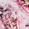 Mariola Piwońska