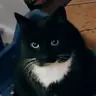 Nina