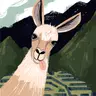 Biuro Rayskiego