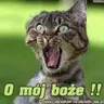 NigchtBartek !!!