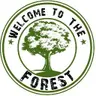 Welcome to the Forest