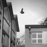 Grzegorz Pralicz