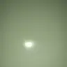 Jsn Wójcik