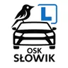 Monika Słowik