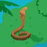 Piotrek