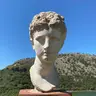 Raphael Fly